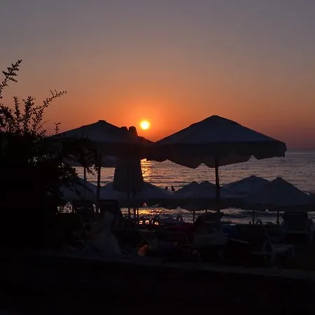 Neptun 3* シダ