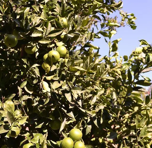 Ξενοδοχείο Neptun